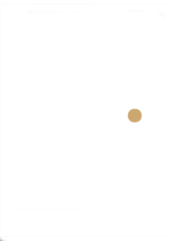 delovne_izkusnje4 delovne_izkusnje4